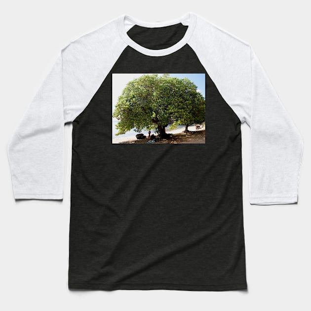 Beach Tree Baseball T-Shirt by Sky Studio Hawaii